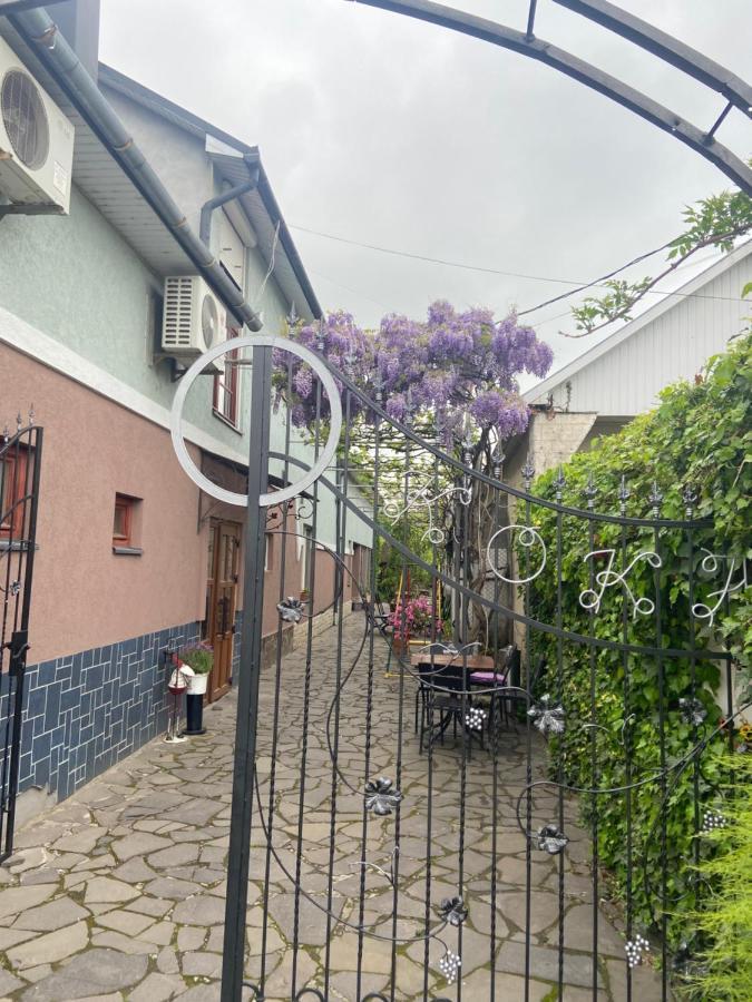 Bed and Breakfast Fkoka Beregovo Exterior foto