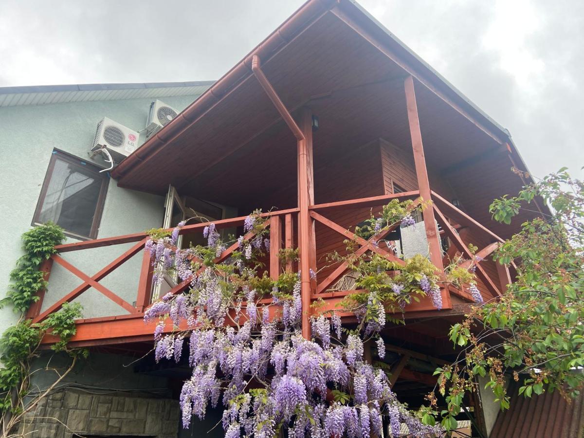 Bed and Breakfast Fkoka Beregovo Exterior foto
