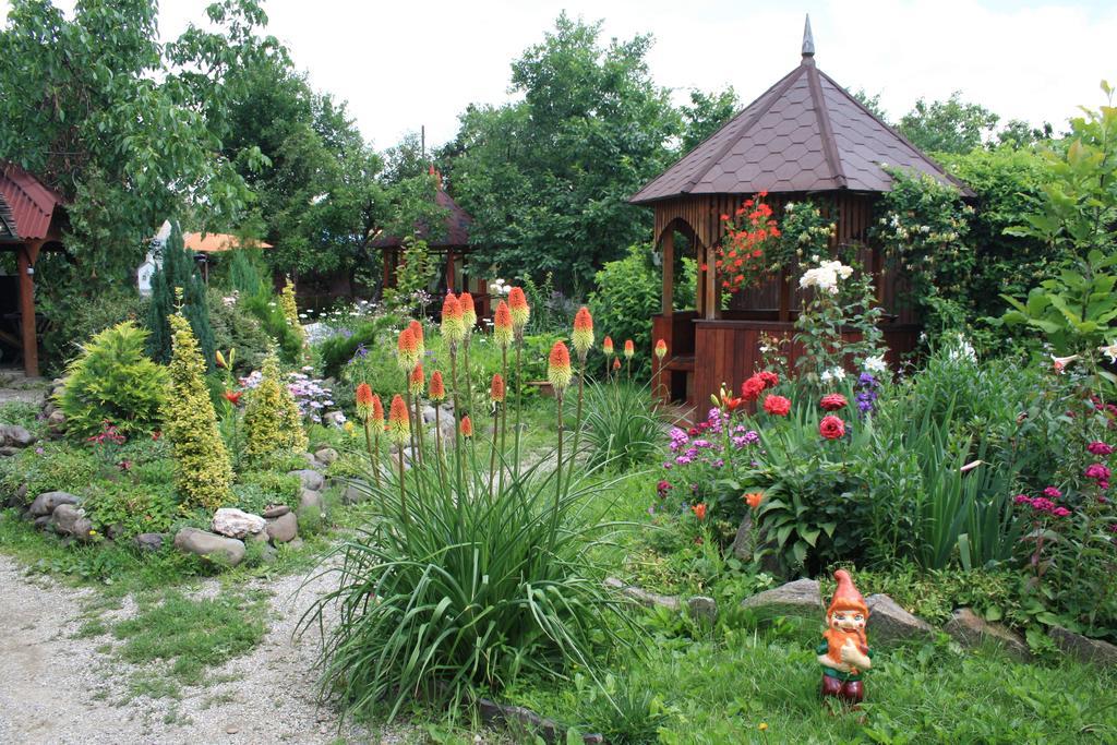 Bed and Breakfast Fkoka Beregovo Exterior foto