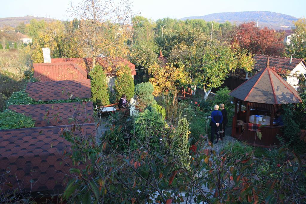 Bed and Breakfast Fkoka Beregovo Exterior foto