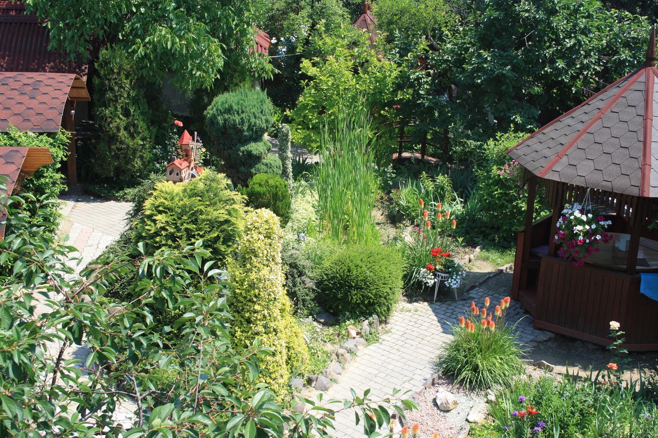 Bed and Breakfast Fkoka Beregovo Exterior foto