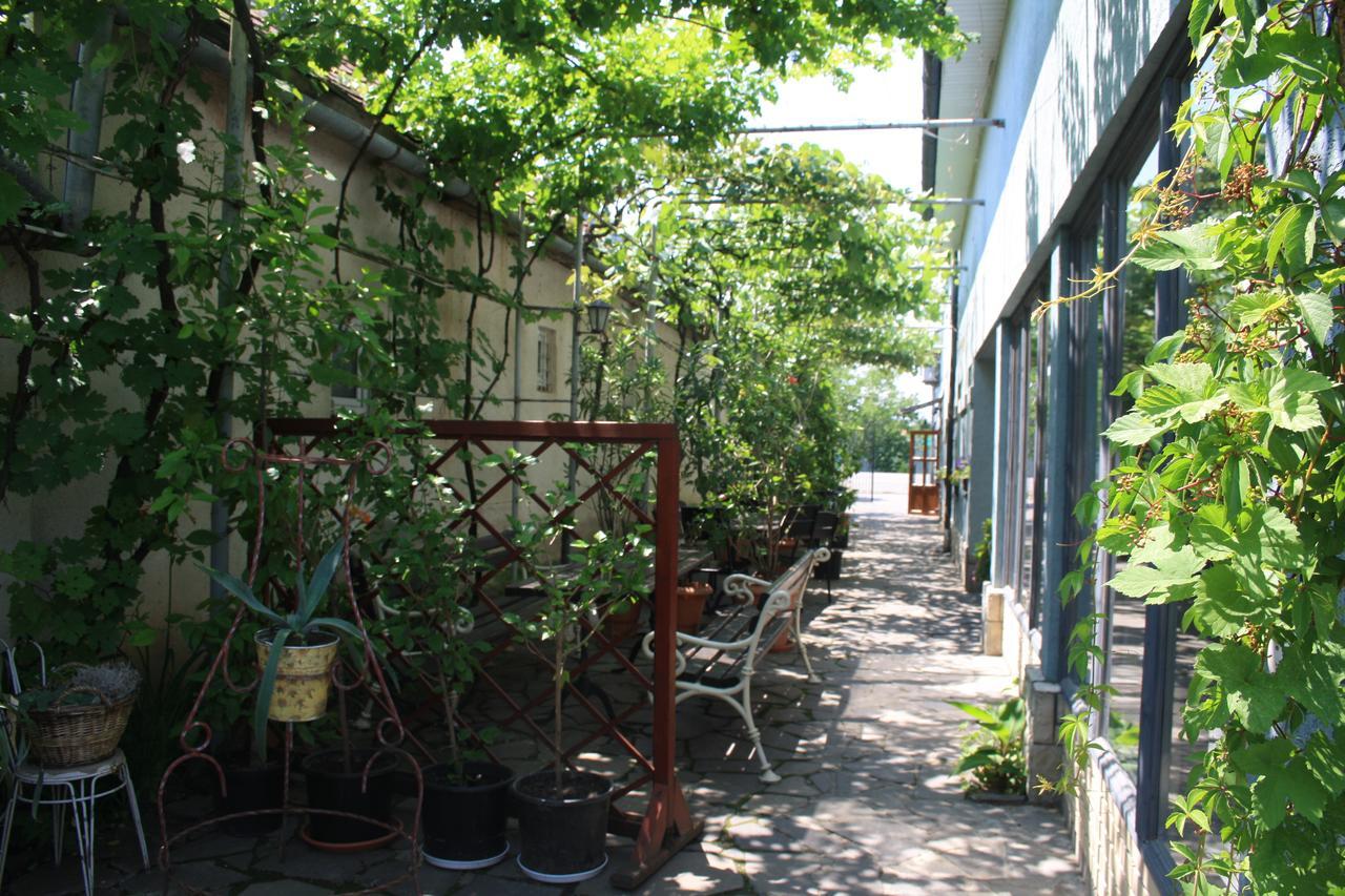 Bed and Breakfast Fkoka Beregovo Exterior foto